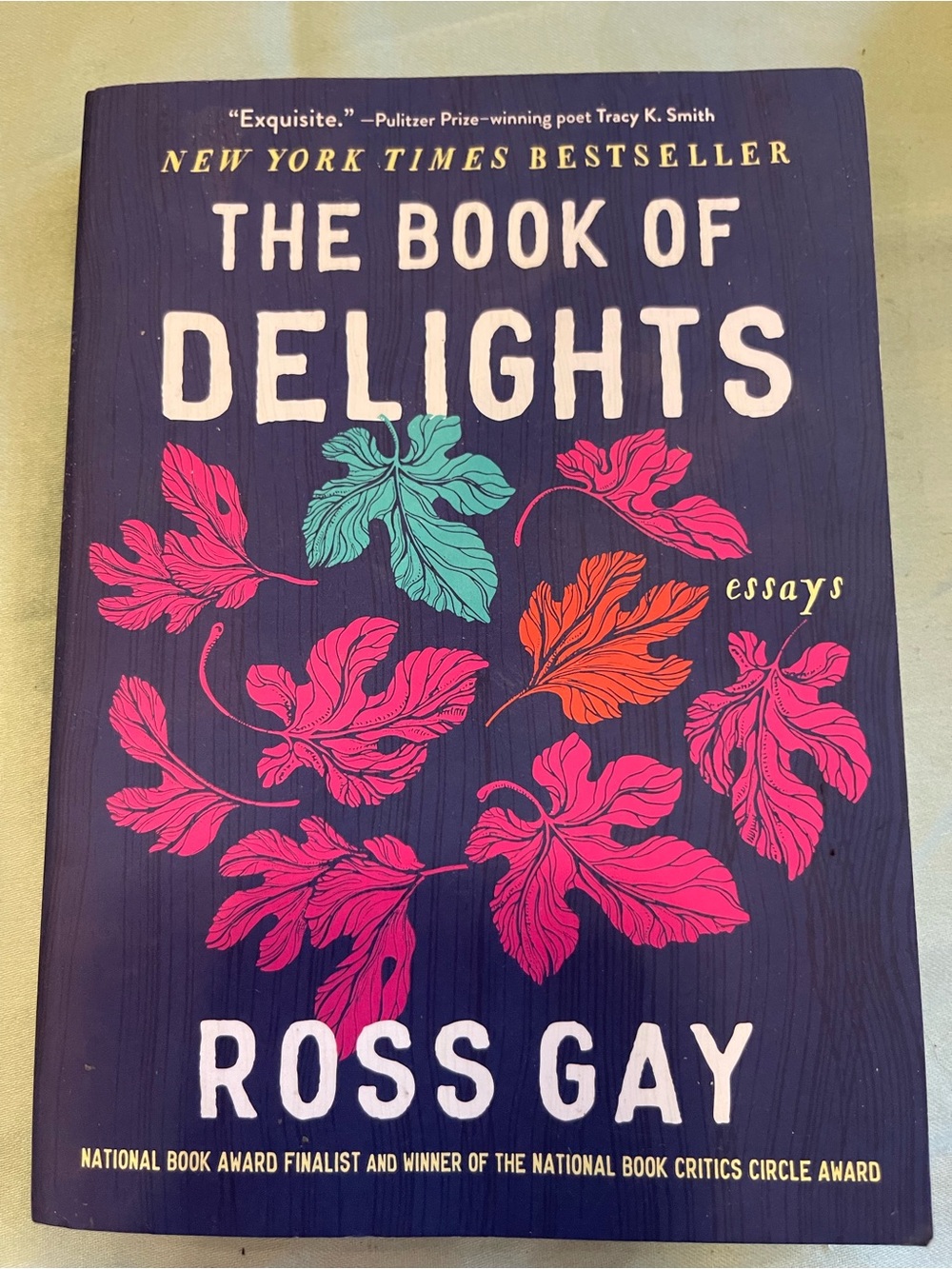 — The Book of Delights (Navy Cover with Pink & Teal Floral Art)